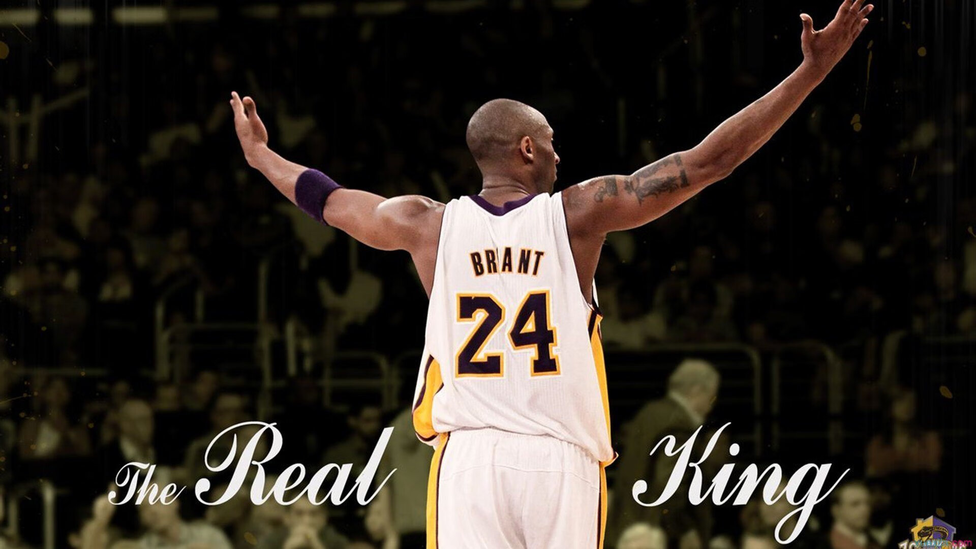 _地下暗道：隐藏场地中的神秘比赛_，地下暗室设计图